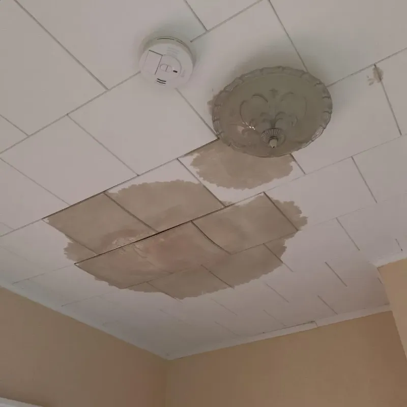 Ceiling Water Damage Repair in Mission, OR
