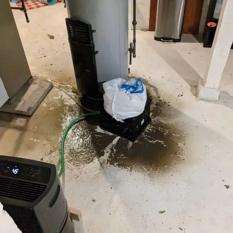 Sewage Backup Cleanup Service in Mission, OR